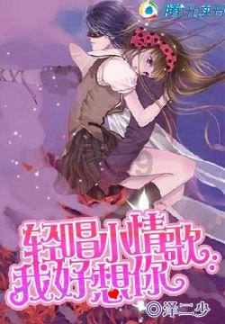 热带假日